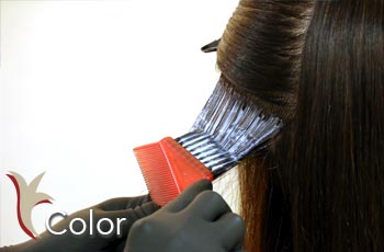 カラーイメージ