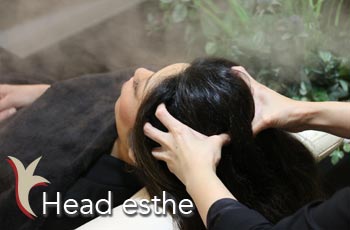 セットイメージ