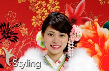 セットイメージ